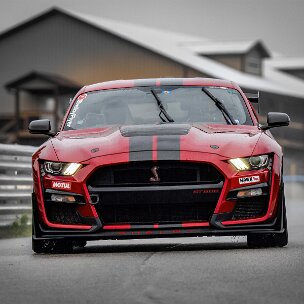 shelbys-and-stangs
